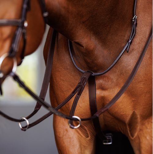 Shires Velociti Fancy Square Raised Running Martingale - OakBark