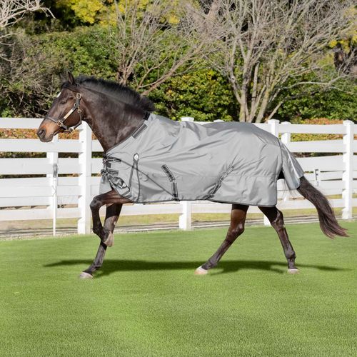 Equinavia Arktis Regular Neck Light Weight Turnout Blanket 100g - Carbon Grey