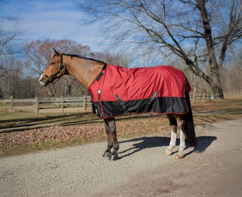 Equinavia Norse Heavy Weight Turnout Blanket 300g - Equestrian Red