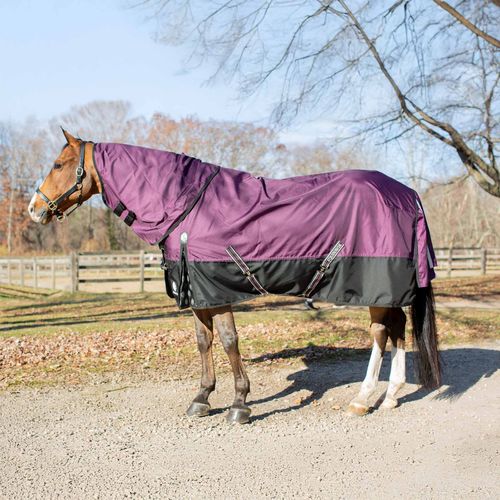 Equinavia Thunder360 Detachable Neck Turnout Sheet - Plum Wine