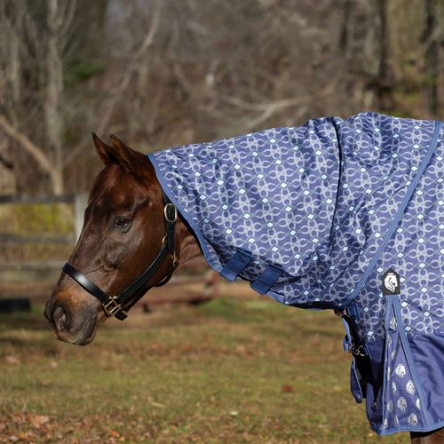 Equinavia Arktis Turnout Neck Cover No Fill - Skipper Blue