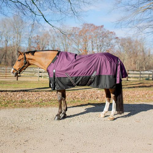 Equinavia Thunder360 Detachable Neck Light Weight Turnout Blanket 100g - Plum Wine