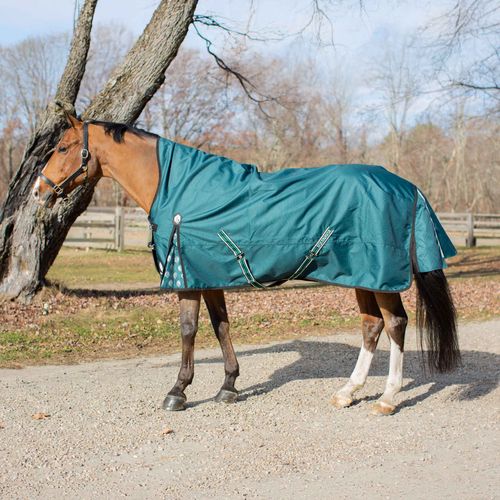 Equinavia Arktis Extended Neck Heavy Weight Turnout Blanket 300g - Deep Green