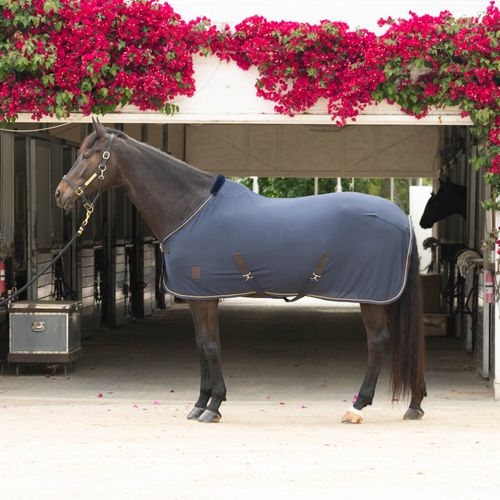 Equinavia Torr Quick Dry Cooler - Navy