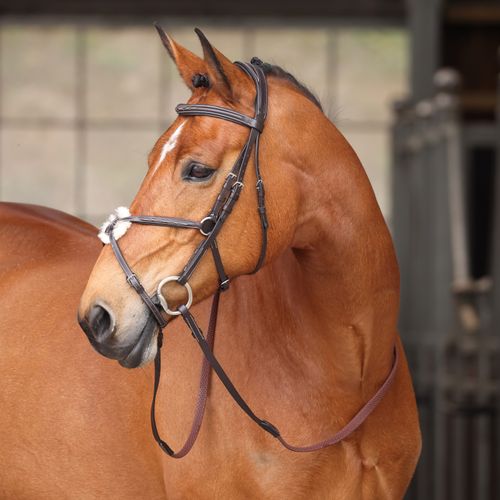 OUTLET: Shires Avignon Woodside Bridle - Horse - Havana