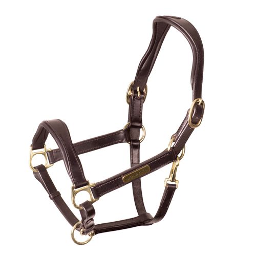 OUTLET: Shires Velociti Rapida Cushioned Leather Headcollar - Large Horse - Havana