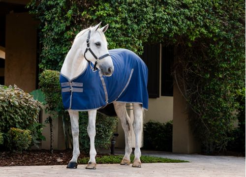 Rambo Stable Sheet - Navy/Thunderstorm Grey/Silver