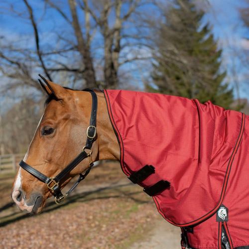 Equinavia Norse Turnout Neck Cover No Fill - Equestrian Red