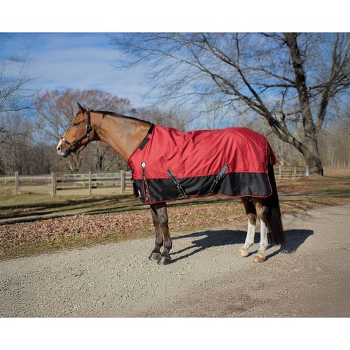 Equinavia Norse Light Weight Turnout Blanket 100g - Equestrian Red