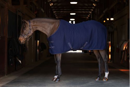TuffRider ThermoManager Stable Blanket - Navy