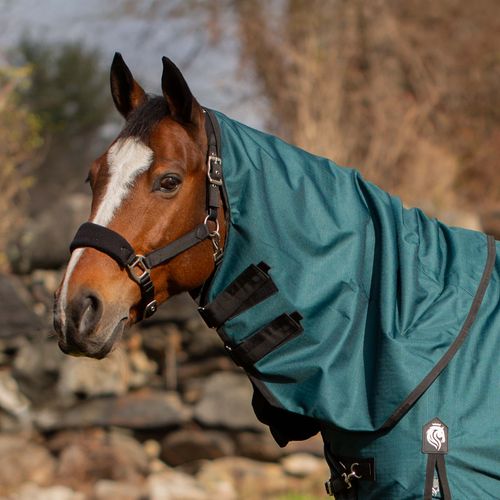Equinavia Arktis Turnout Neck Cover 200g - Deep Green