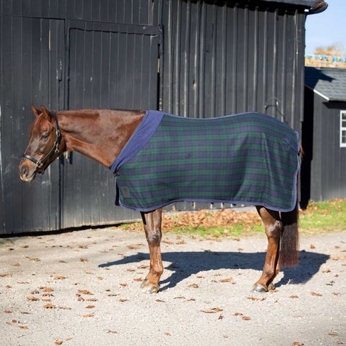 Equinavia Ulla Wool Cooler - Navy/Green