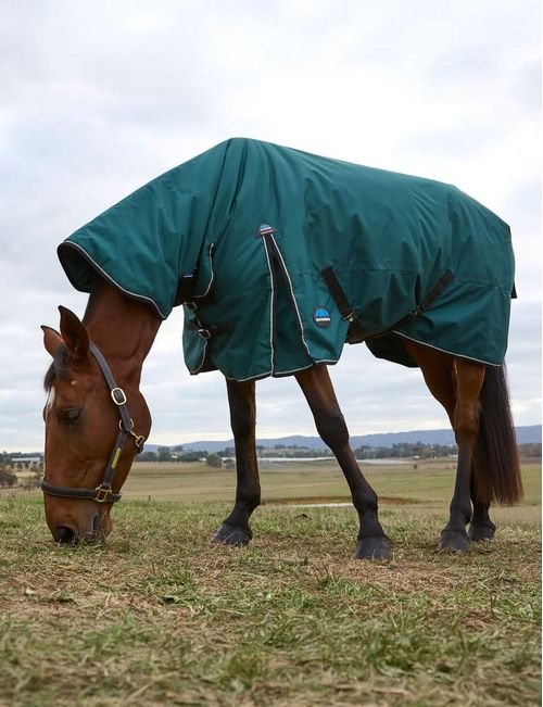 Weatherbeeta Comfitec Classic Turnout Combo 360g - Forest Green/Black