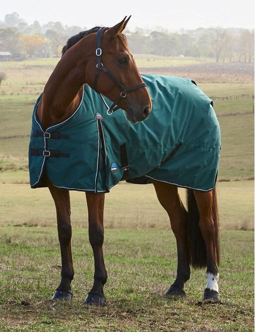 Weatherbeeta Comfitec Classic Turnout 220g - Forest Green/Black