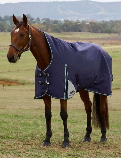 Weatherbeeta Comfitec Plus Dynamic Turnout High Neck 220g - Navy/Forest Green