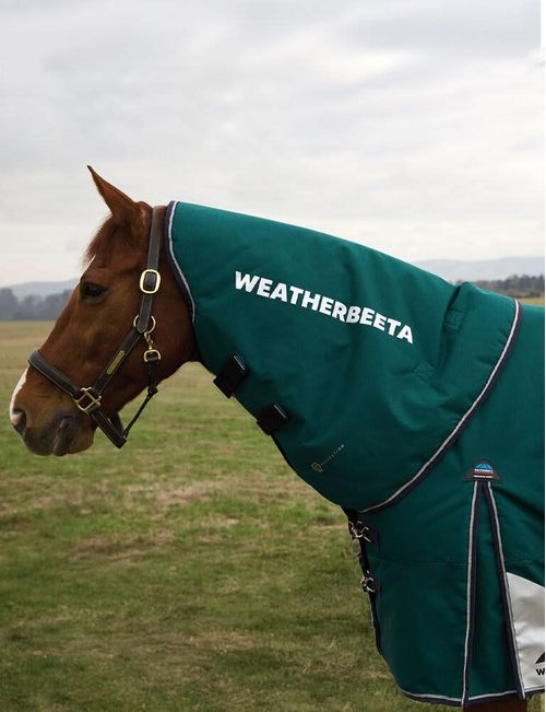Weatherbeeta Comfitec Plus Dynamic Turnout Neck Cover 100g - Forest Green/Navy