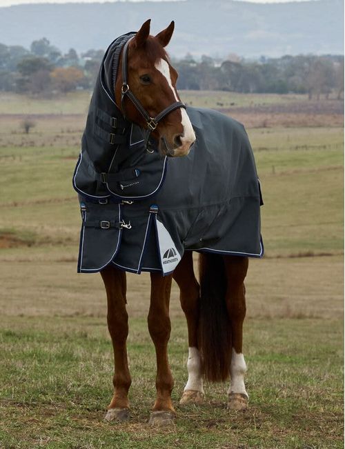 Weatherbeeta Comfitec Ultra Turnout Detach-A-Neck 360g - Charcoal