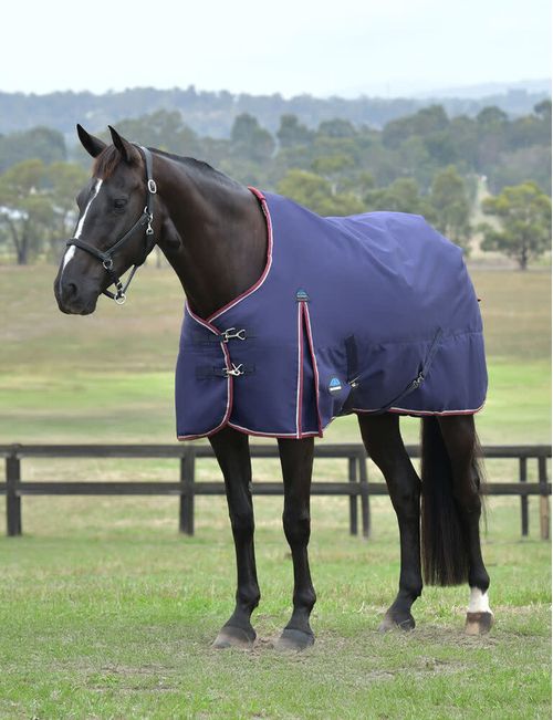 Weatherbeeta Comfitec Essential Turnout 50g - Navy/Burgundy