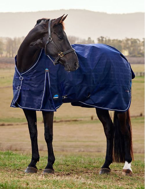 Weatherbeeta Comfitec Prelim Turnout 360g - Navy Embossed Plaid