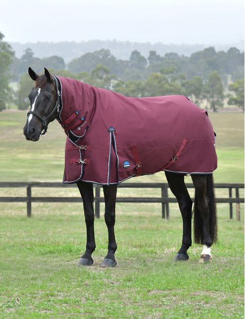 Weatherbeeta Comfitec Essential Turnout Combo 220g - Burgundy/Navy