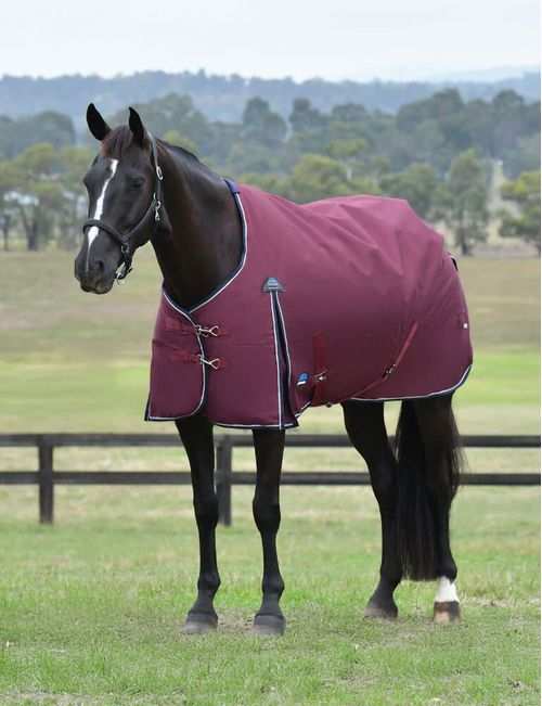 Weatherbeeta Comfitec Essential Turnout 100g - Burgundy/Navy