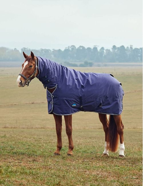 Weatherbeeta Comfitec Tyro Turnout Combo Neck 50g - Navy/Charcoal