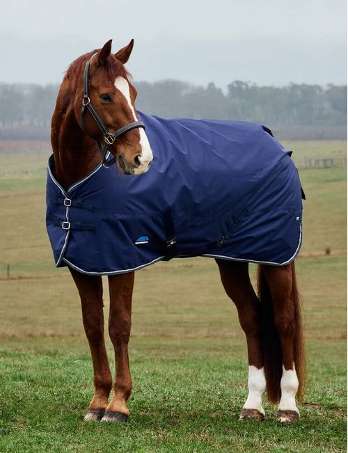 Weatherbeeta Comfitec Tyro Turnout Standard Neck 220g - Navy/Charcoal