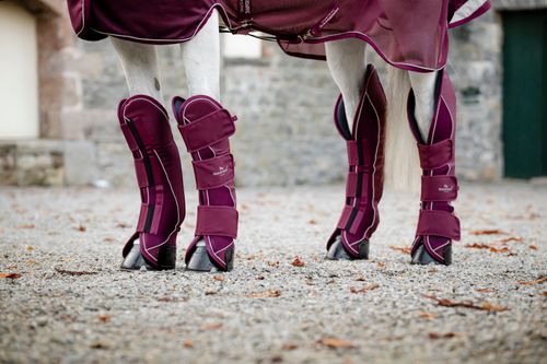 Horseware Signature  Travel Boots - Burgundy
