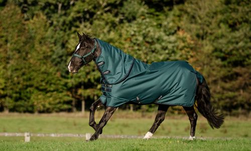 Amigo Ripstop 900 Plus 200g - Dynasty Green/Navy/Silver