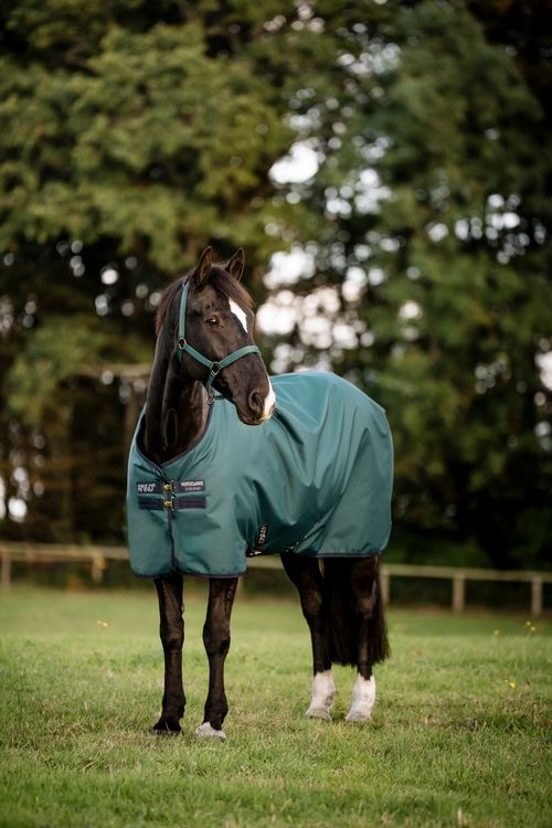 Amigo Ripstop 900D Pony Turnout 50g - Dynasty Green/Navy/Silver