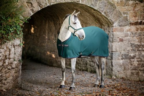 Amigo Jersey Pony Cooler - Dynasty Green/Navy/Silver