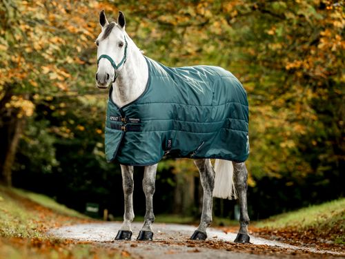 Amigo Diamond Insulator 100g - Dynasty Green/Navy/Silver