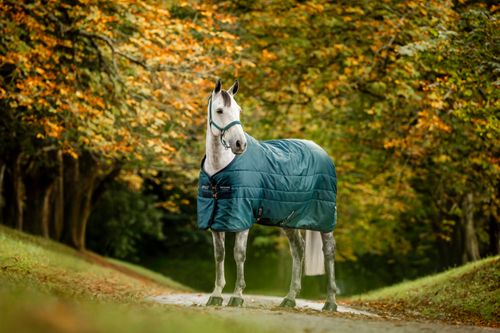 Amigo Ripstop Insulator Stable 350g - Dynasty Green/Navy/Silver