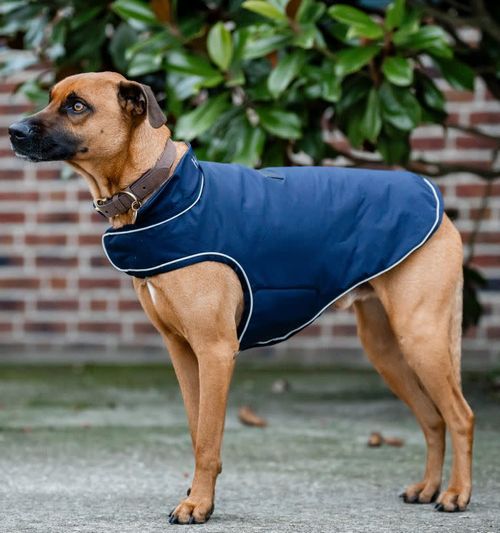 Horseware Signature Dog Rain Coat 100g - Navy