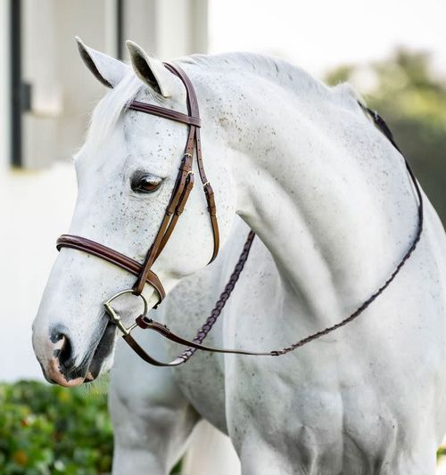 Horseware Pony Hunter Cavesson Bridle w/Reins - Brown