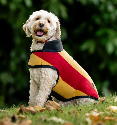 Horseware Newmarket Dog Fleece - Witney Gold