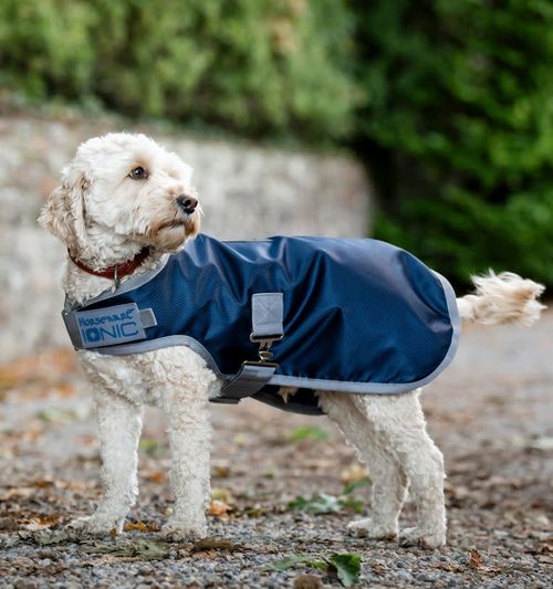 Horseware Ionic Therapy Dog Coat 50g - Imperial Blue/Silver/Navy