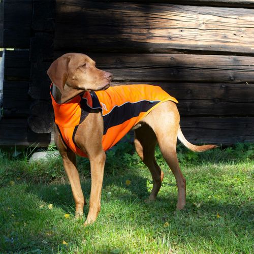 READY TO SHIP: Back on Track Eddie High Visibility Reflective Jumper - 50cm - Orange