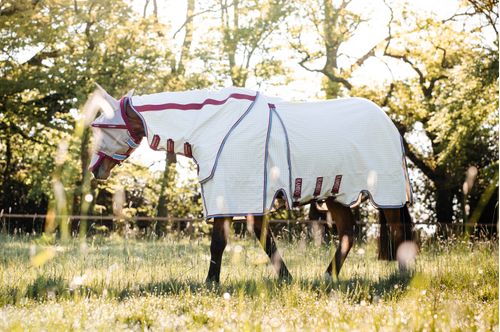 BARGAIN: Rambo Optimo Supreme Summer Sheet - 72 - Navy Check/Cherry/Peach/Blue