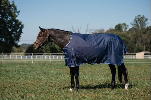 TuffRider Comfy Fit 1200 D RipStop Turnout Medium 200 Adjustable Neck - Navy