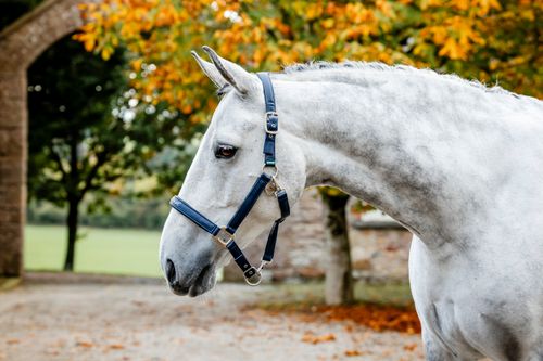 Horseware Grooming Headcollar - Navy