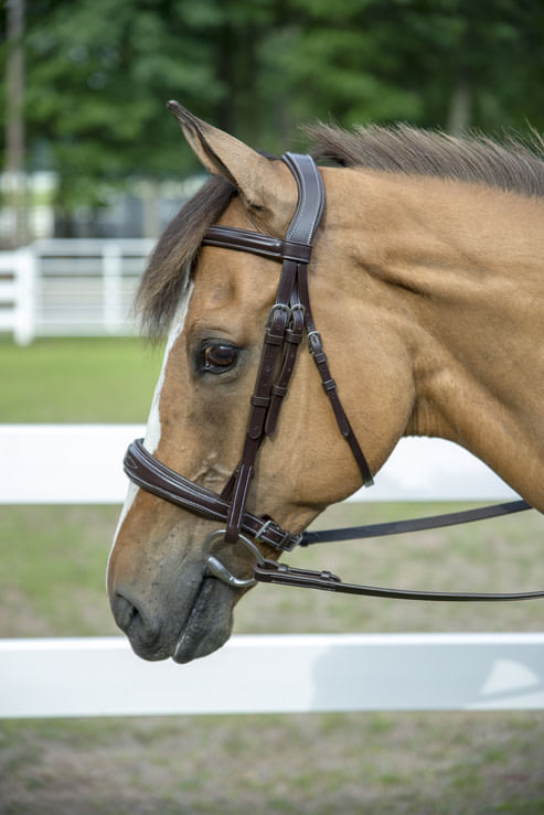 Henri de Rivel Pro Mono-Crown Padded Wide Noseband Bridle - Havana