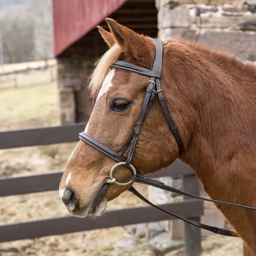 Henri de Rivel Pro Mono Crown Padded Bridle - Havana
