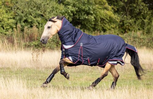 LeMieux Kudos Turnout Blanket 200g - Navy