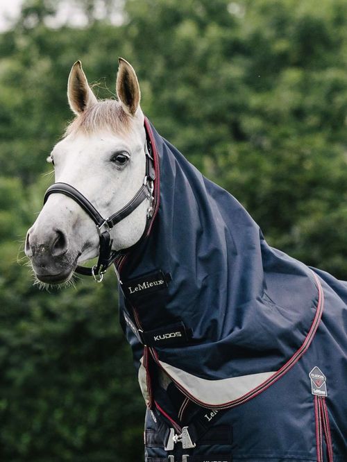 LeMieux Kudos Turnout Neck Cover 200g - Navy