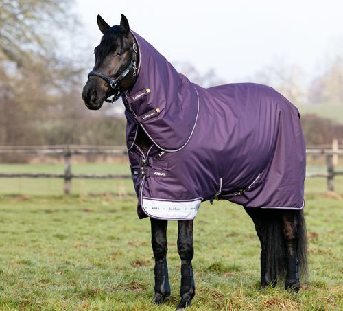LeMieux Arika 600D Ripstop 100g Turnout Blanket - Juniper