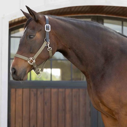 Equinavia Loki  Breakaway Halter - Light Olive
