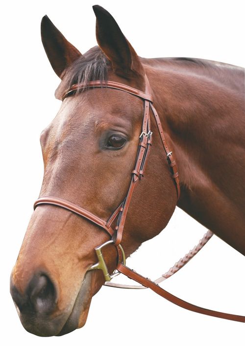 BARGAIN: Henri de Rivel Advantage Plain Raised Snaffle Bridle w/Laced Reins - Pony - Oakbark