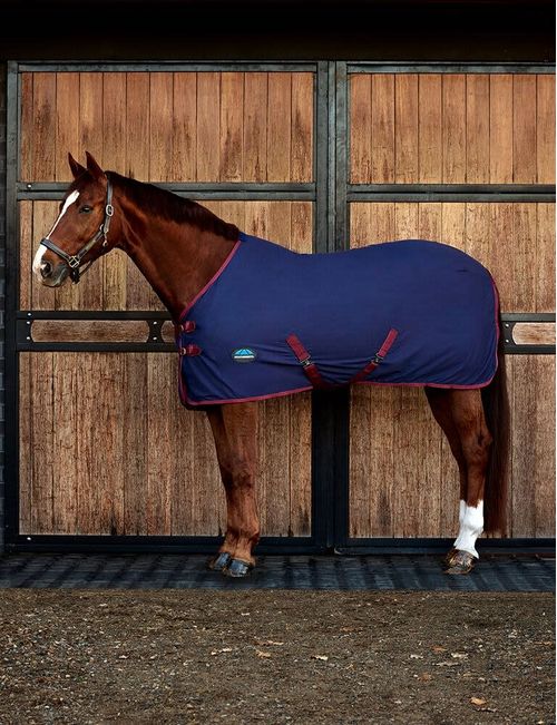 OVERSTOCK: Weatherbeeta Cotton Sheet Standard Neck - 63 - Navy/Burgundy