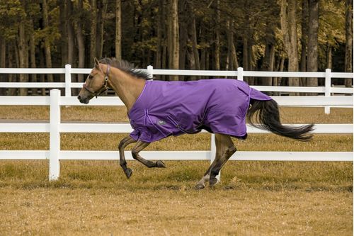 OVERSTOCK: TuffRider 1200 D Comfy Turnout Blanket - 81 - Purple